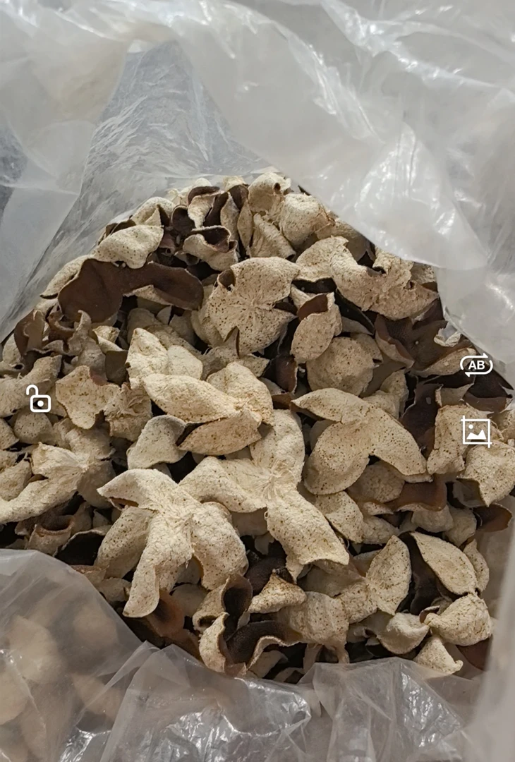 浦北陈皮2023年冬后大红皮（狗楠皮）