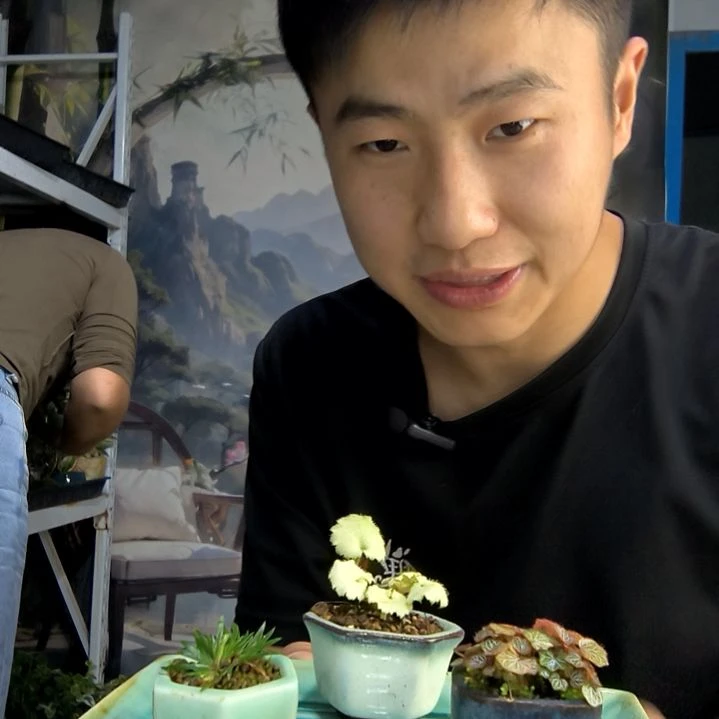 ?****?中青园艺一物一拍42