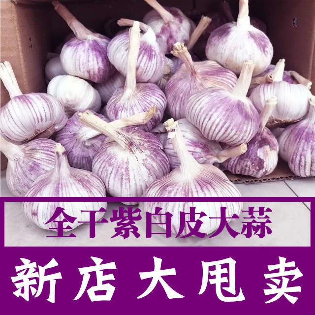 【兵锋大蒜】山东金乡紫白皮大蒜干蒜新大蒜头批发包邮装紫皮大蒜