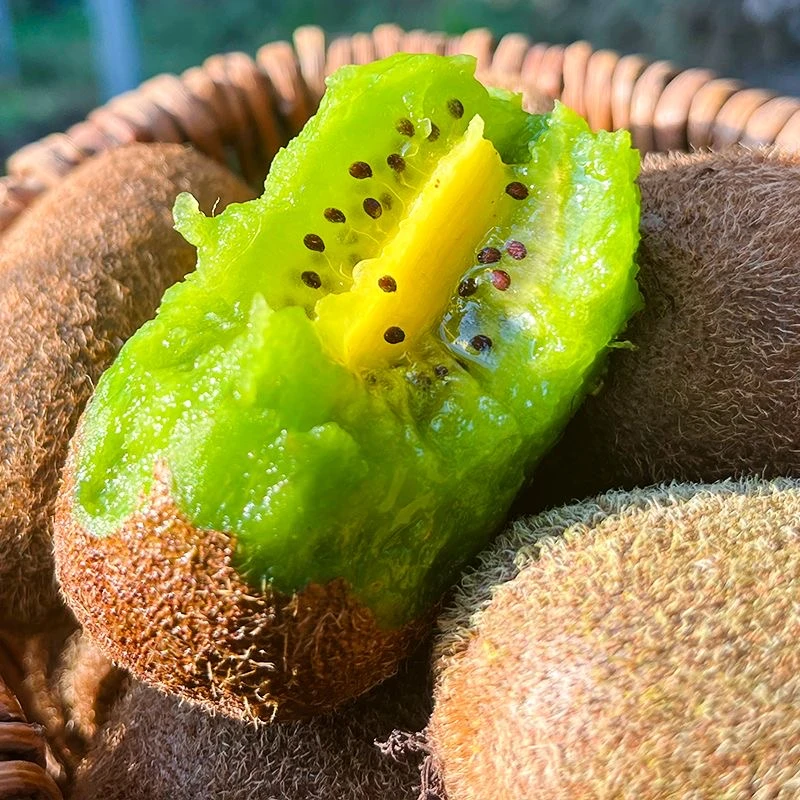 (京东)新疆包邮 贵州修文猕猴桃
