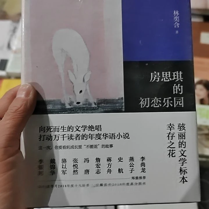 方思琪的初恋乐园