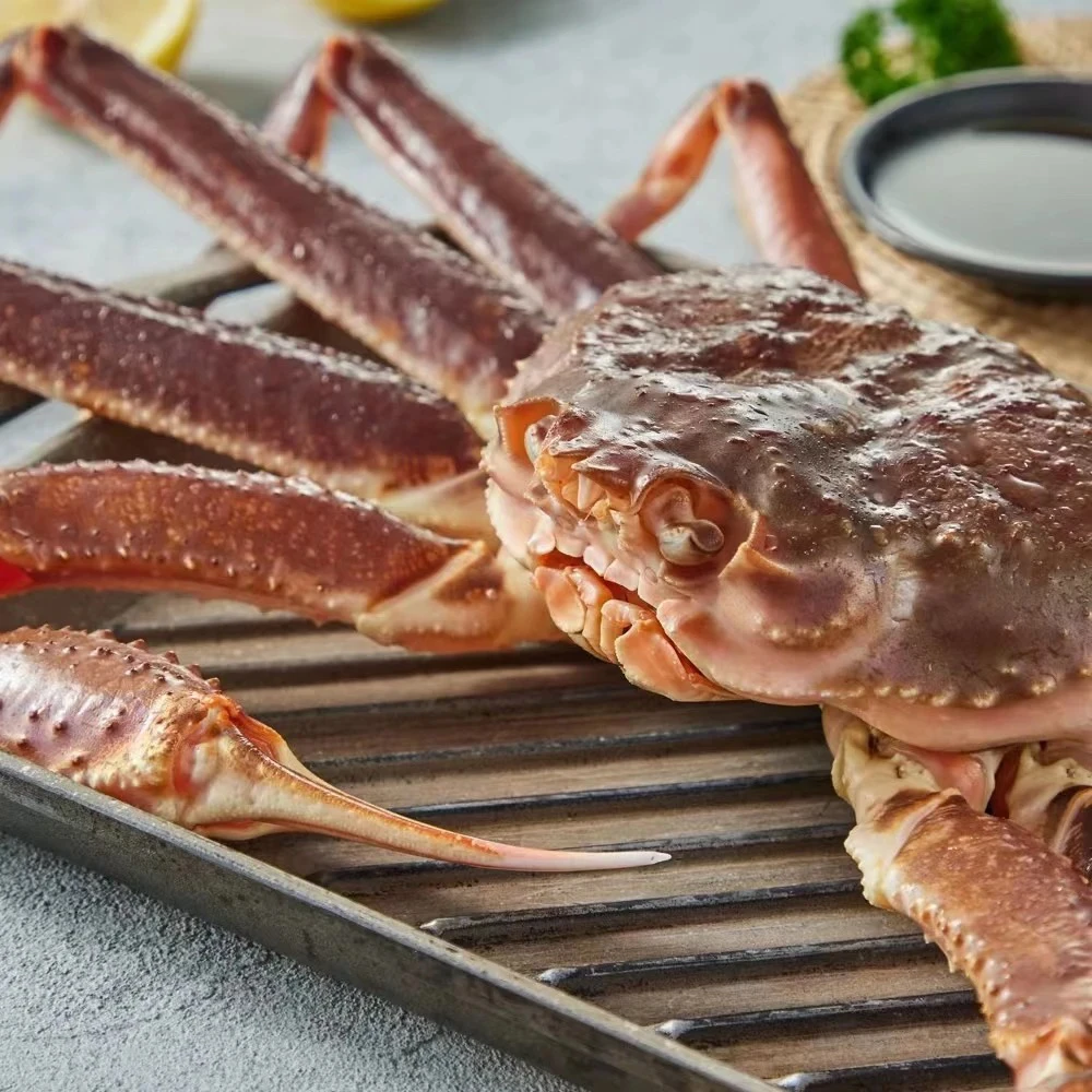 勘察加半岛松叶蟹大规格单只/1.6-3斤 保鲜保肥。