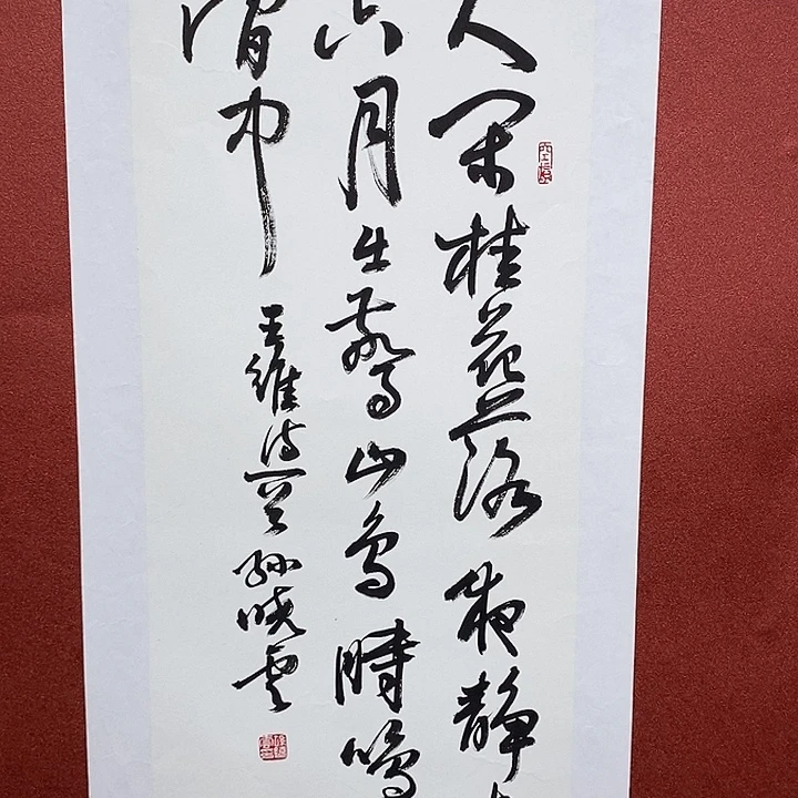 书法人闲直播大漏