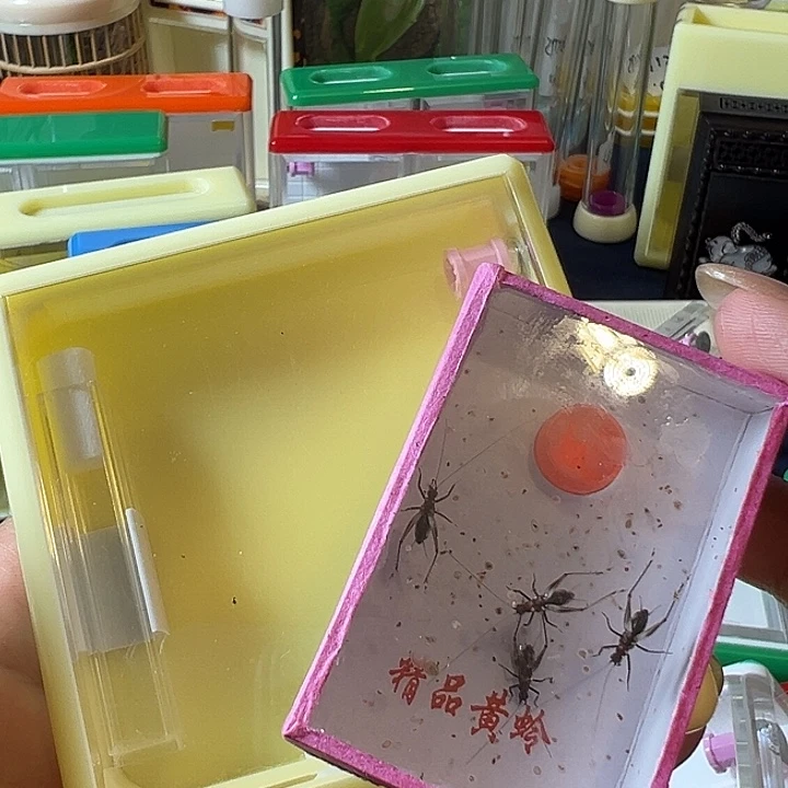 一***蝶蟋蟀哈哈哈哈哈哈哈哈哈哈哈