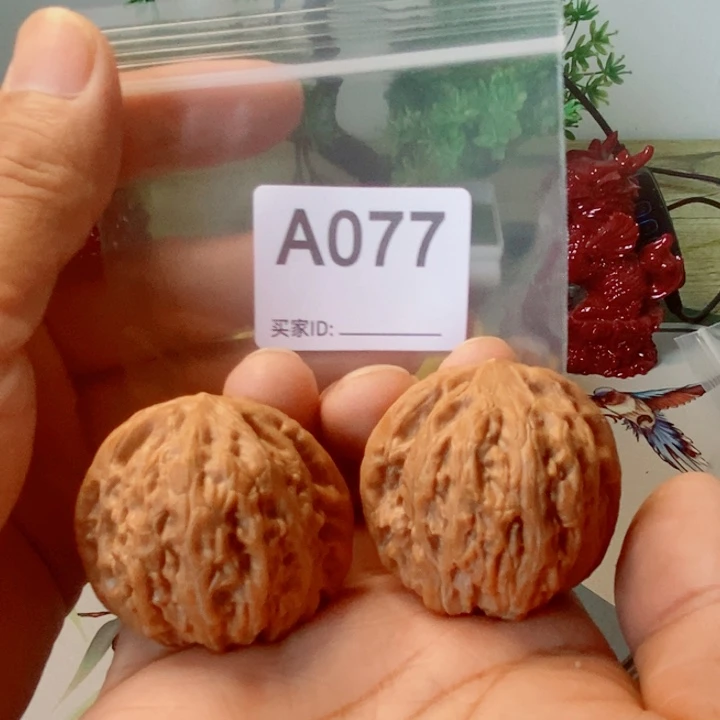 m***42.5铁锤哥哥077号