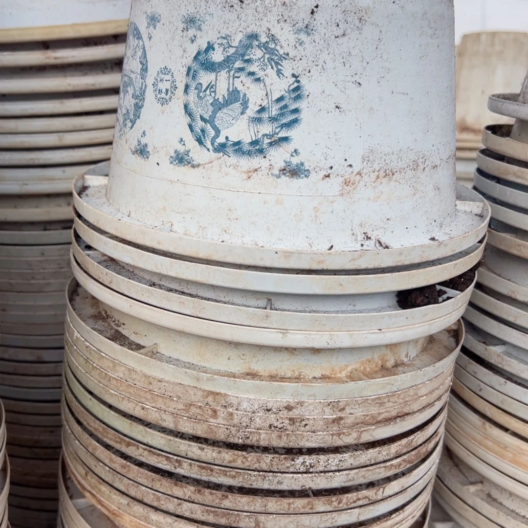 富贵花开盆24口径17高 5个