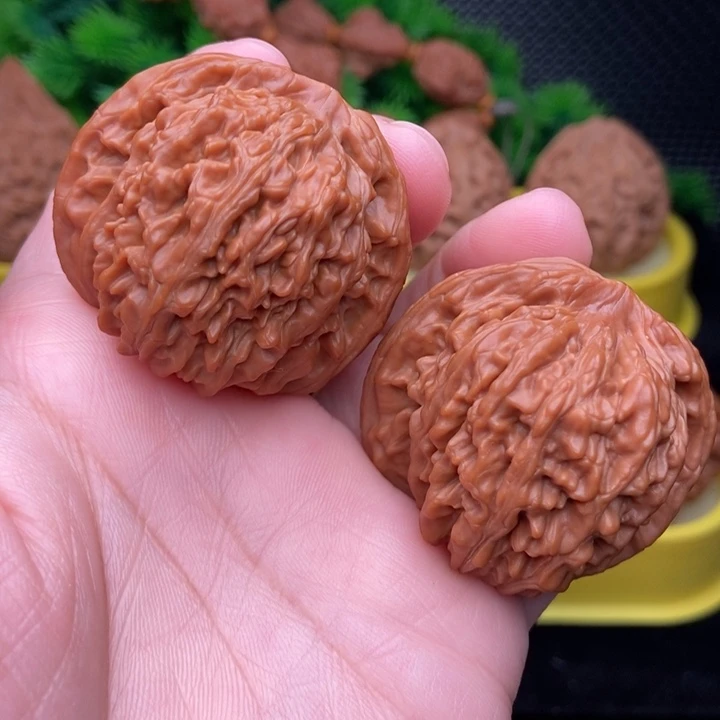 山地楼42.5全品1111111