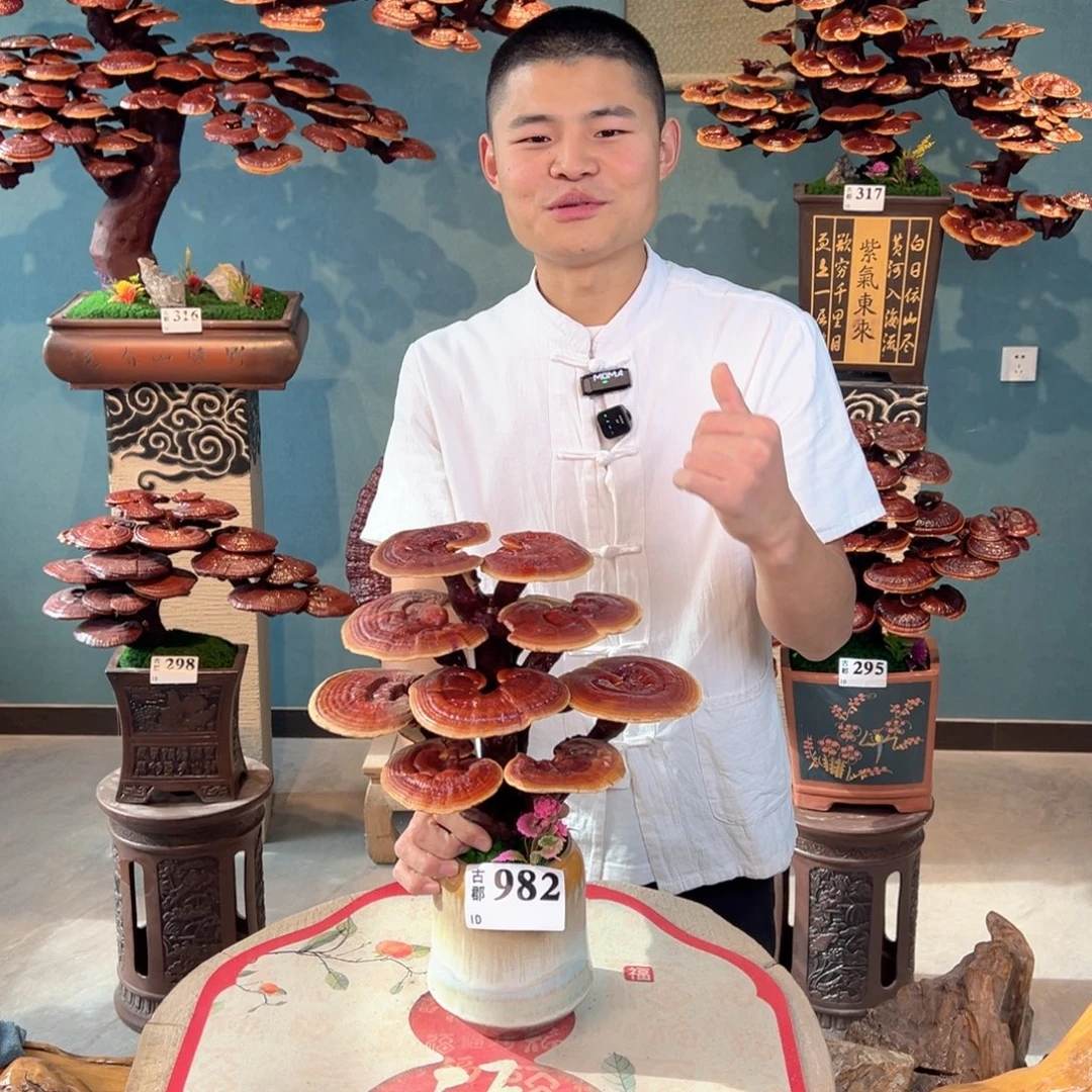 无花朵88888888888