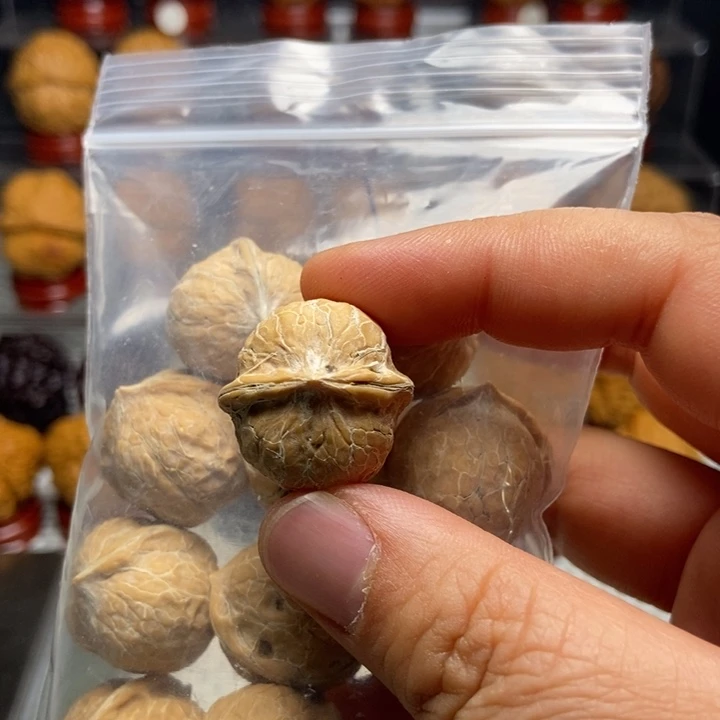 文玩核桃把件6黄金豆