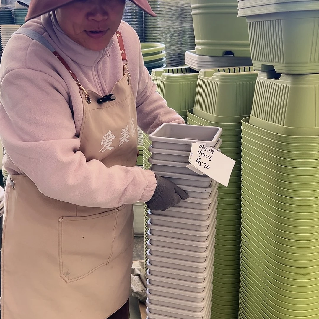 方盆F18#灰白色5个无托