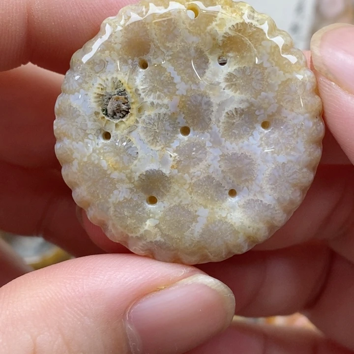 颈饰未镶嵌硅化珊瑚（珊瑚玉）有瑕