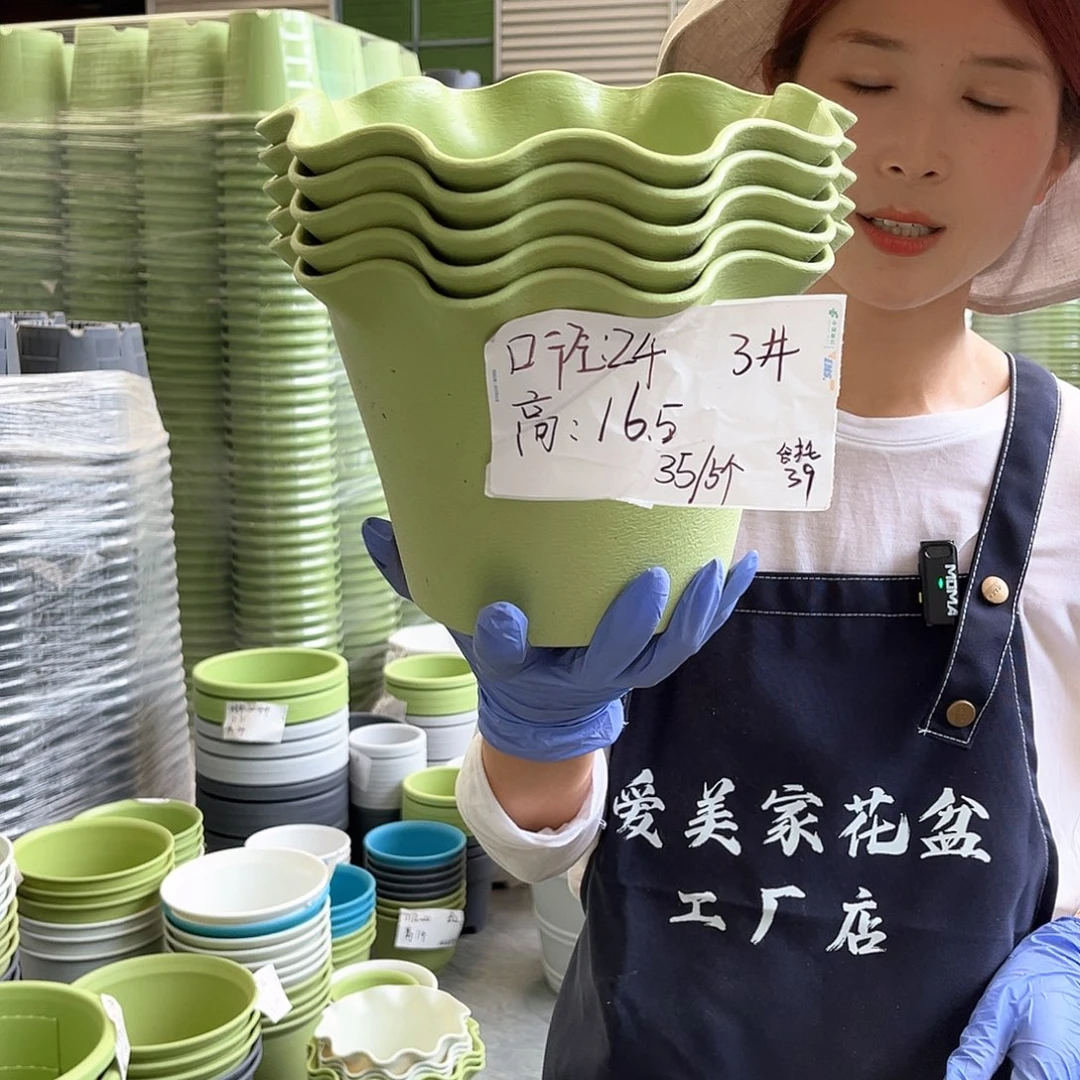 荷叶盆3#果绿色5个无托