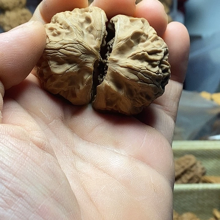 吊坠桃核白蛇骨蛇头有修