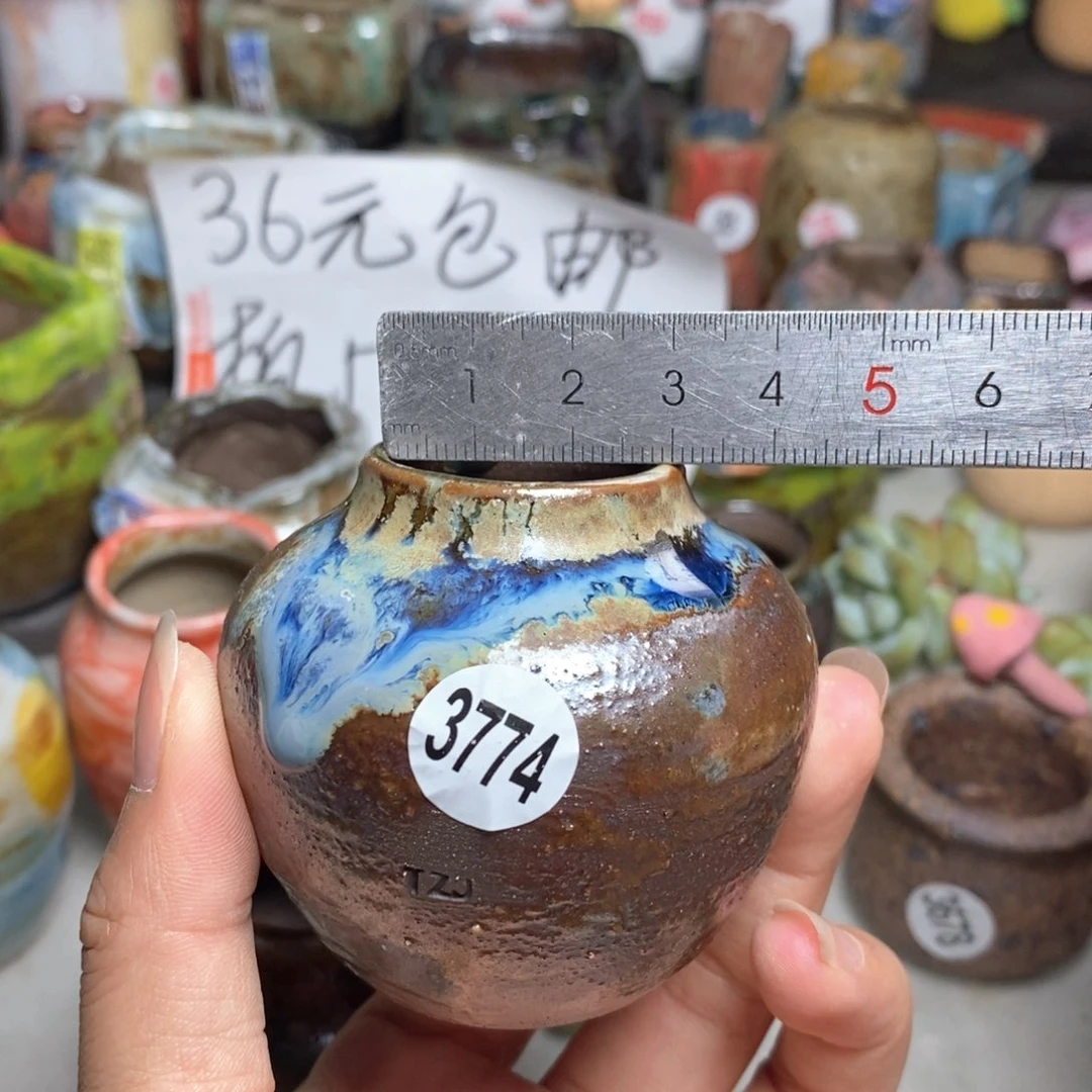 拍5送一个小礼物