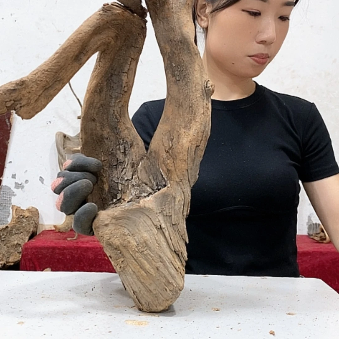 【闪购商品】柏木五*我们都是好孩子