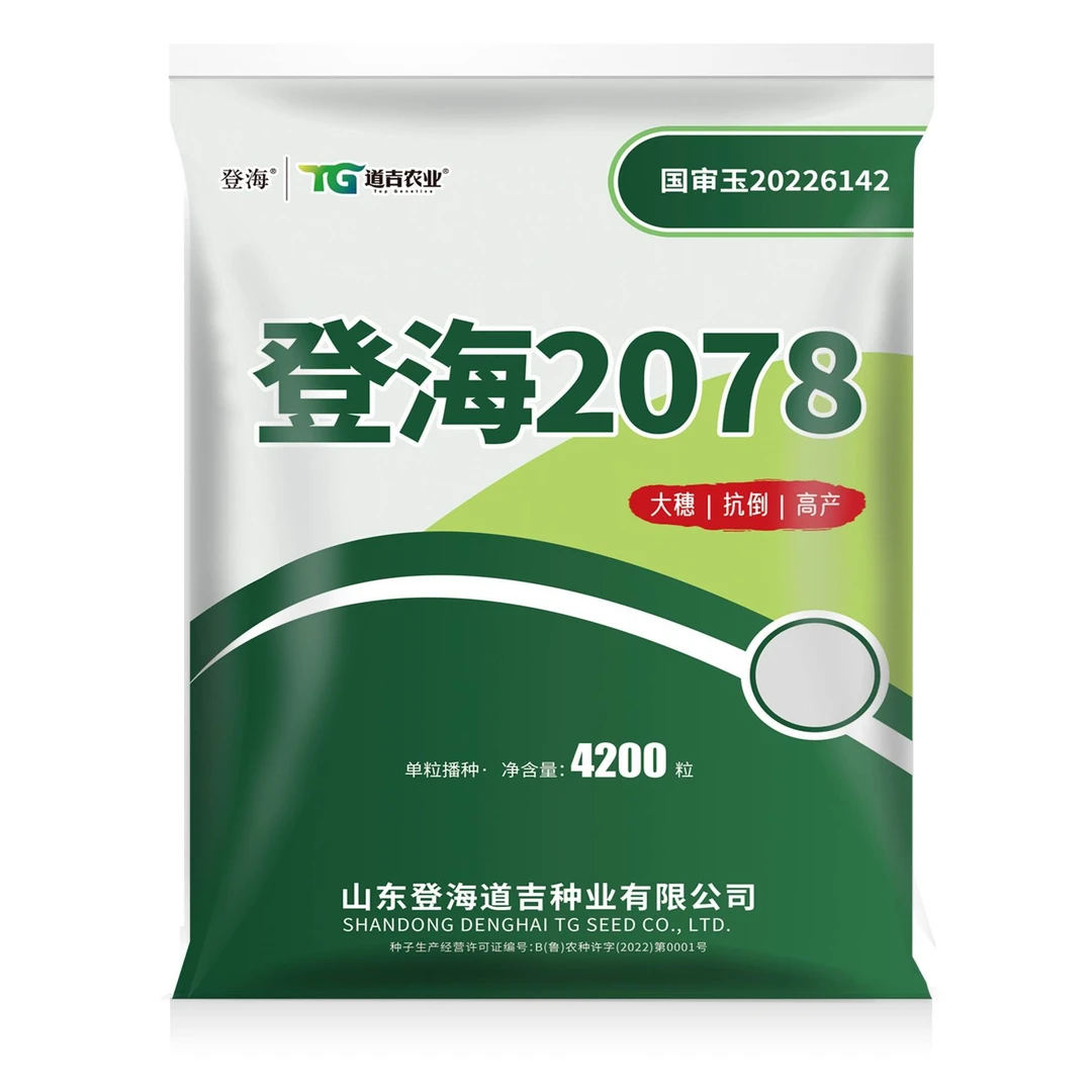 国审登海2078，红轴大穗抗倒耐高温抗病强高产优秀玉米种子4200粒