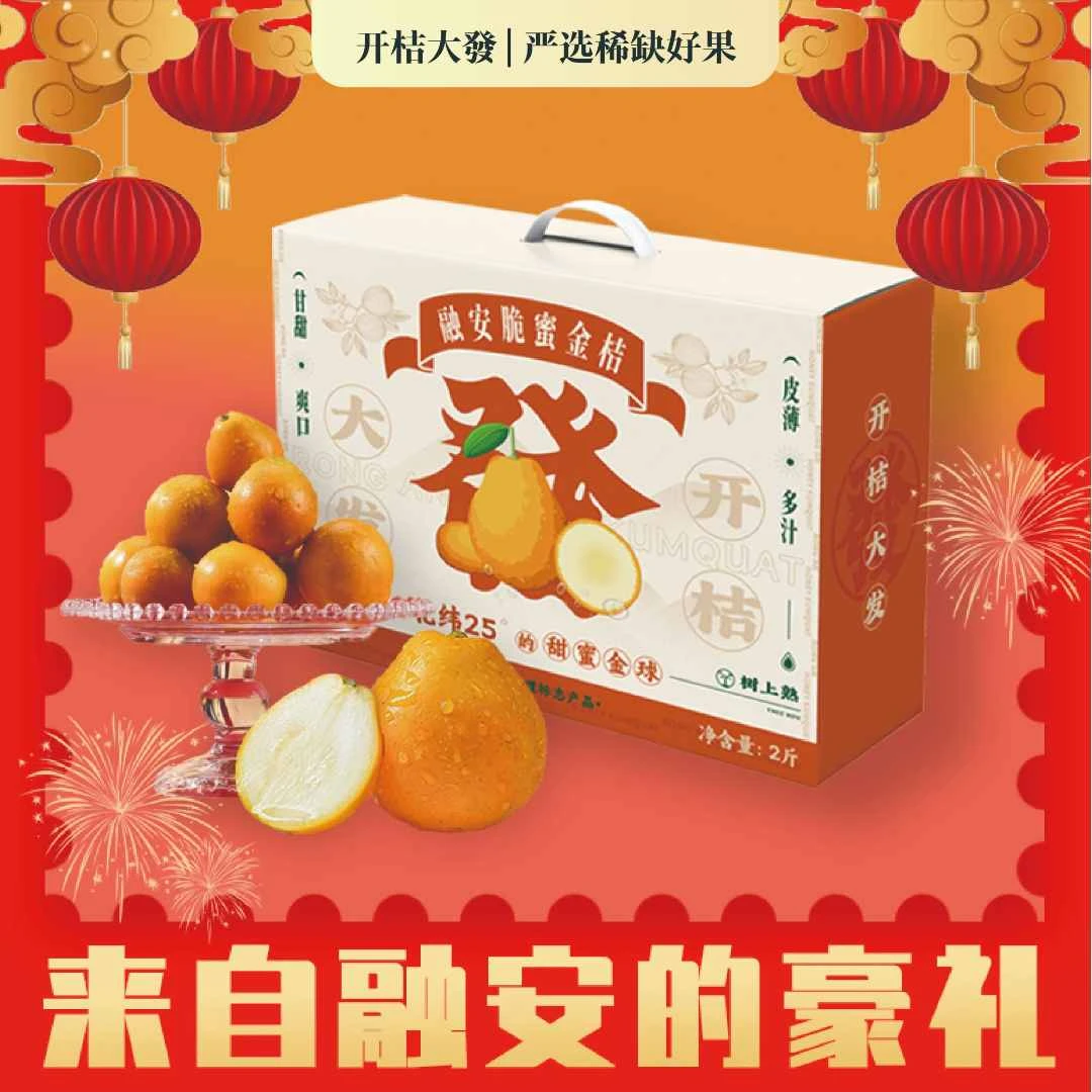 2024广西融安第三代脆蜜金桔新鲜水果纯甜现摘现发坏果包赔