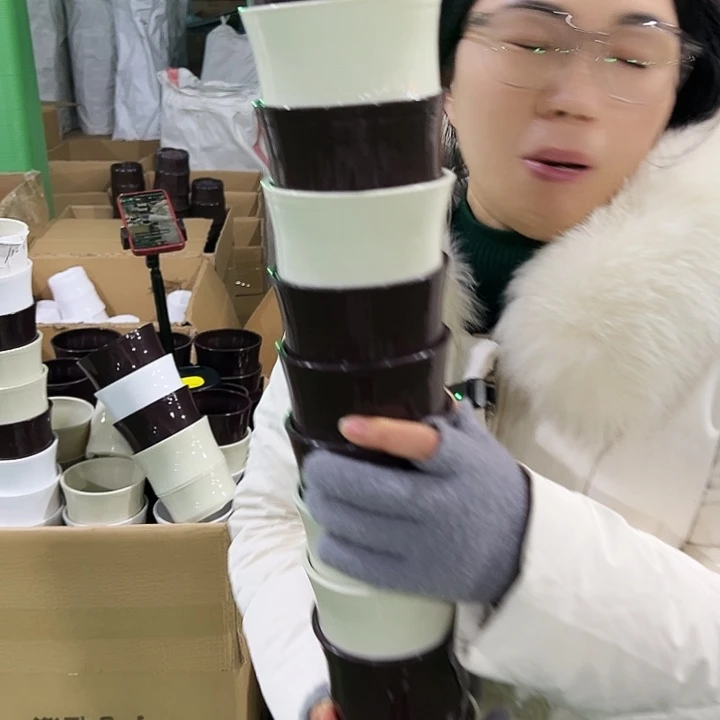 特价竹节口10高10米色带托10只