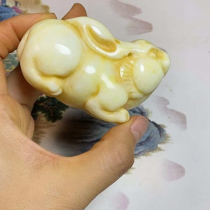 紫砂一一一一一一