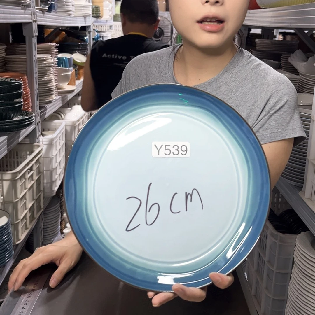 瓷片539               2个