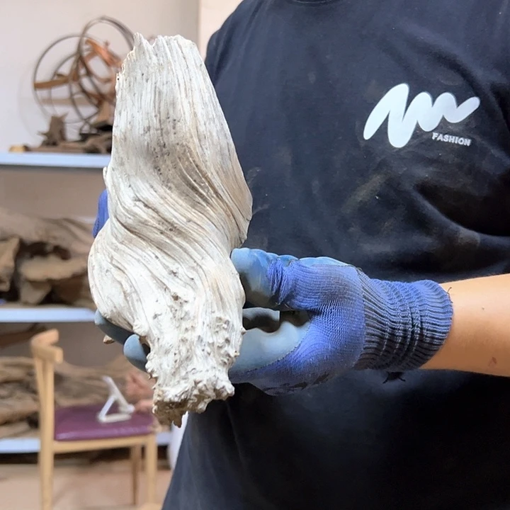 柏木小**艺我们的生活是以