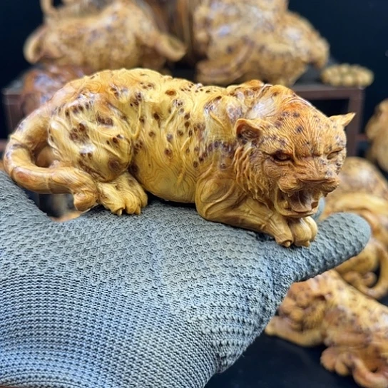 柏木明*8太行崖柏老虎