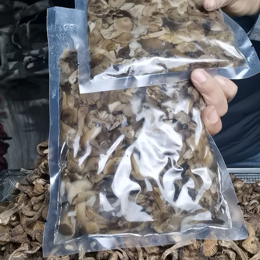 盐水榛蘑1000克中国大陆
