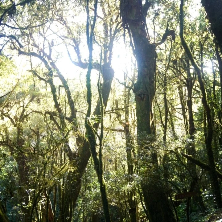 家居居家装饰摆件2222