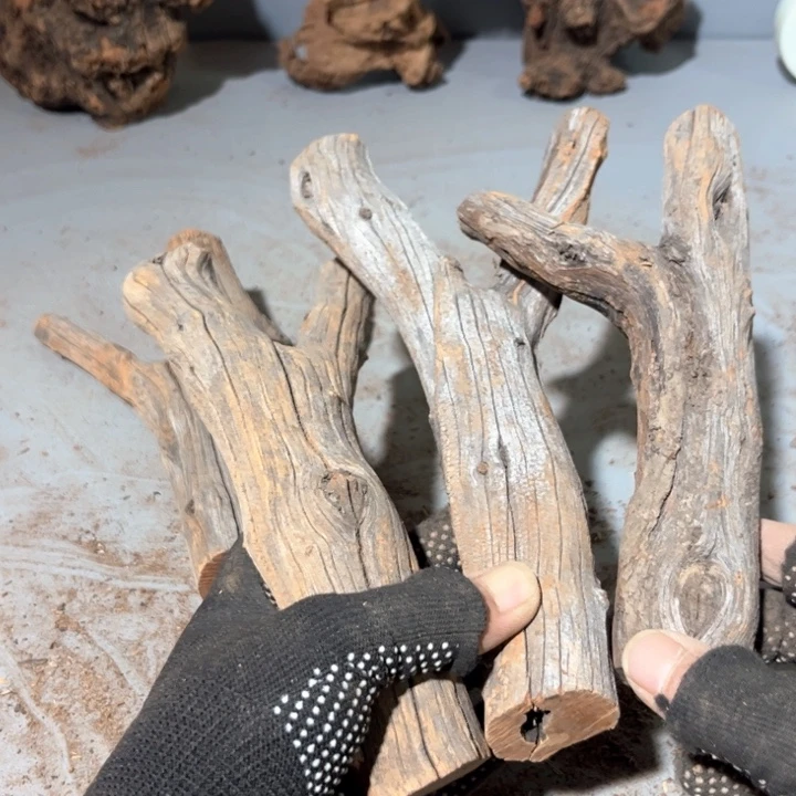 无***忧大果紫檀（缅甸花梨）