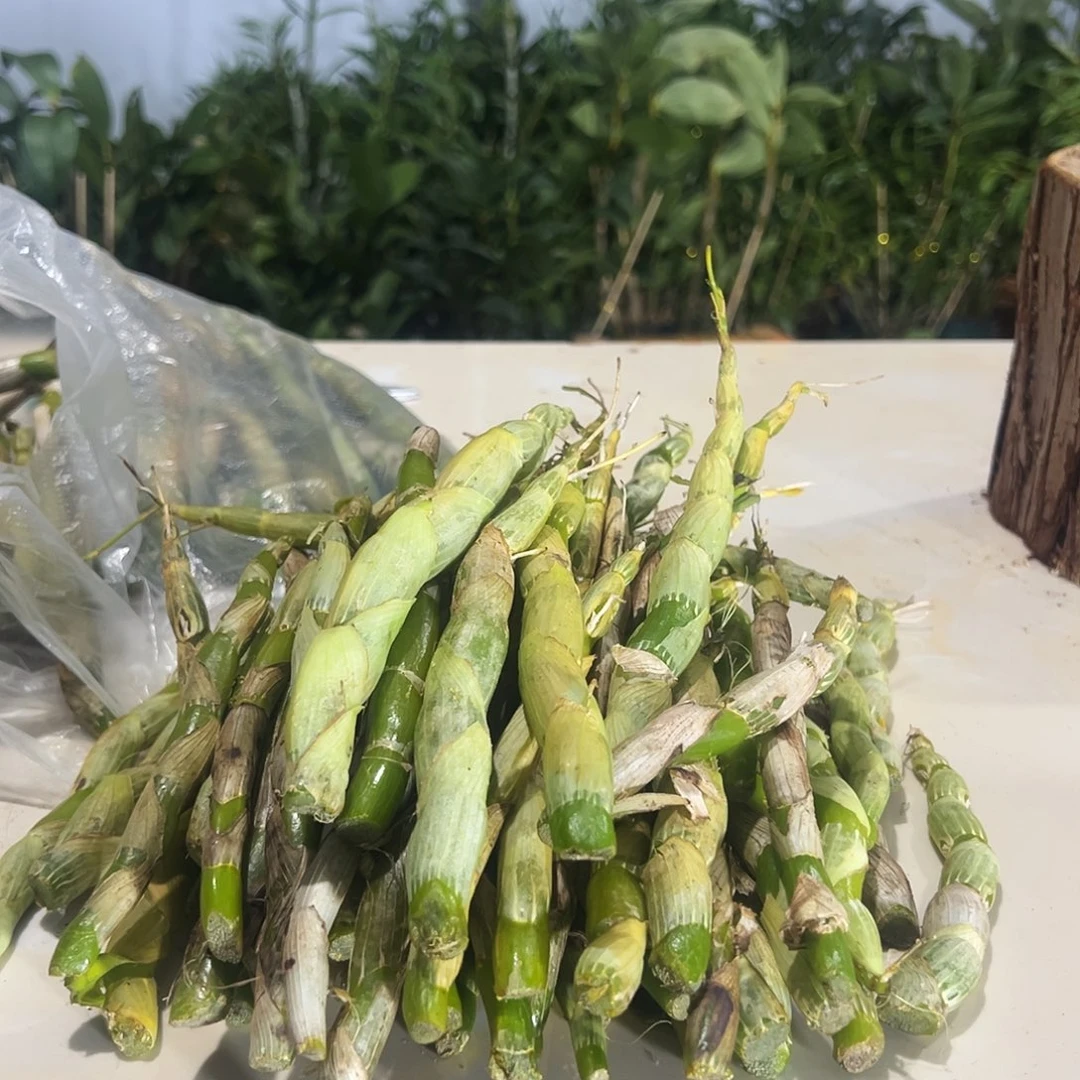 梅***溜无花朵珍蟲石斛鲜条一斤