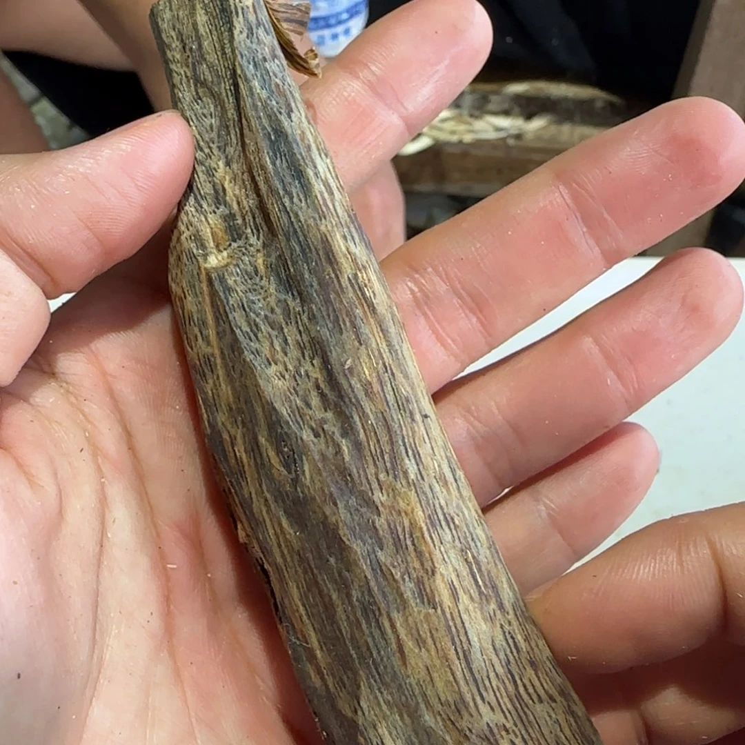 沉香沉香碎屑虫漏精品一根