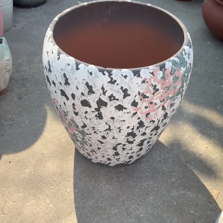 25/31正品正品的。