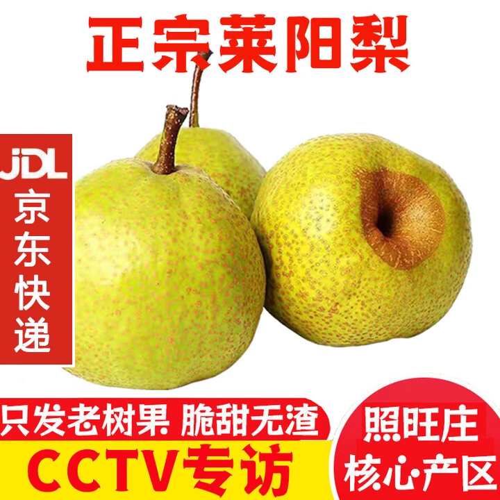 莱阳慈梨莱阳梨正宗山东特产脆甜无渣风味独特水果照旺庄现摘现发