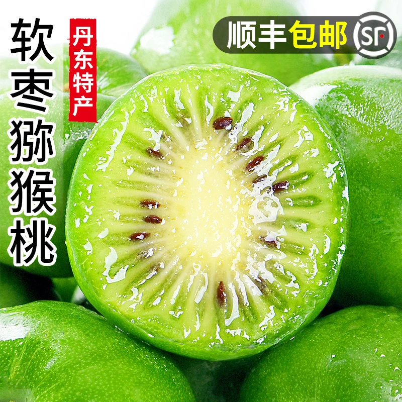 丹东软枣猕猴桃礼盒小猕猴桃水果鲜果东北特产软枣子奇异莓圆枣子