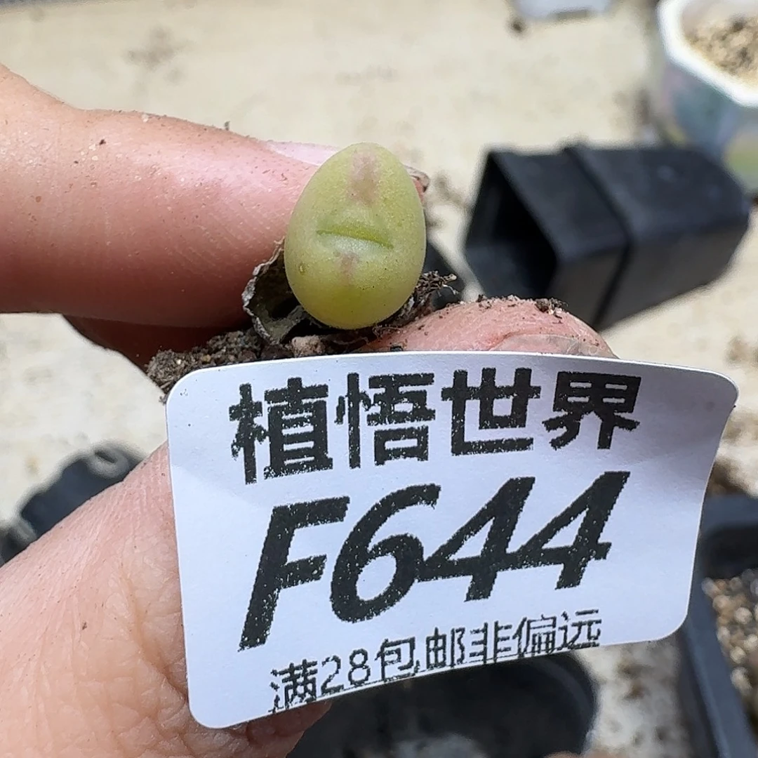 的润泽发通知fgbn