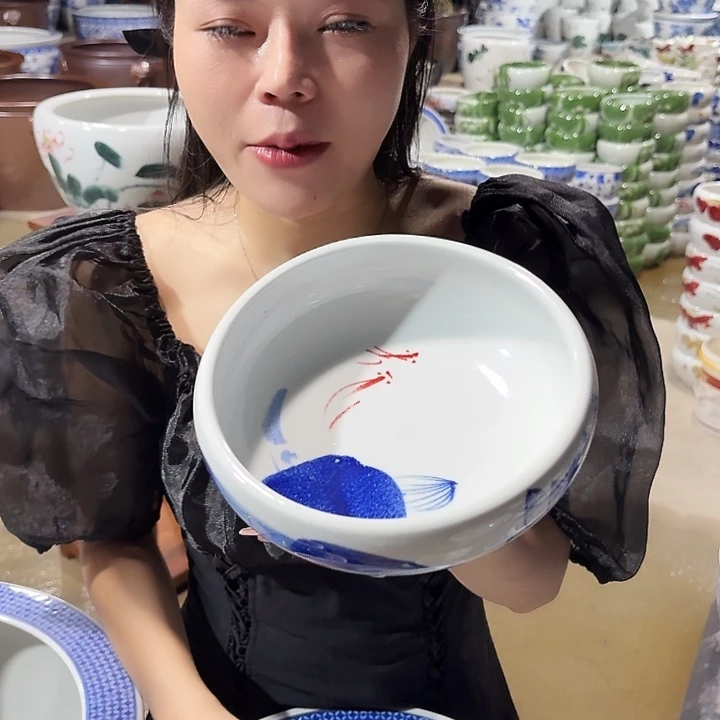 瓷片口径20厘米 高度6厘米
