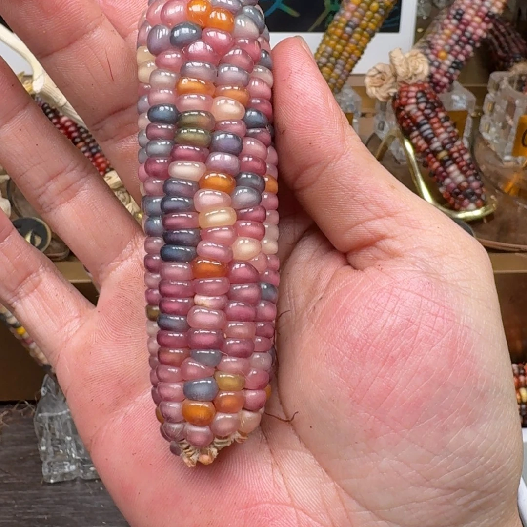 柏香籽/百香籽吊坠香**汁