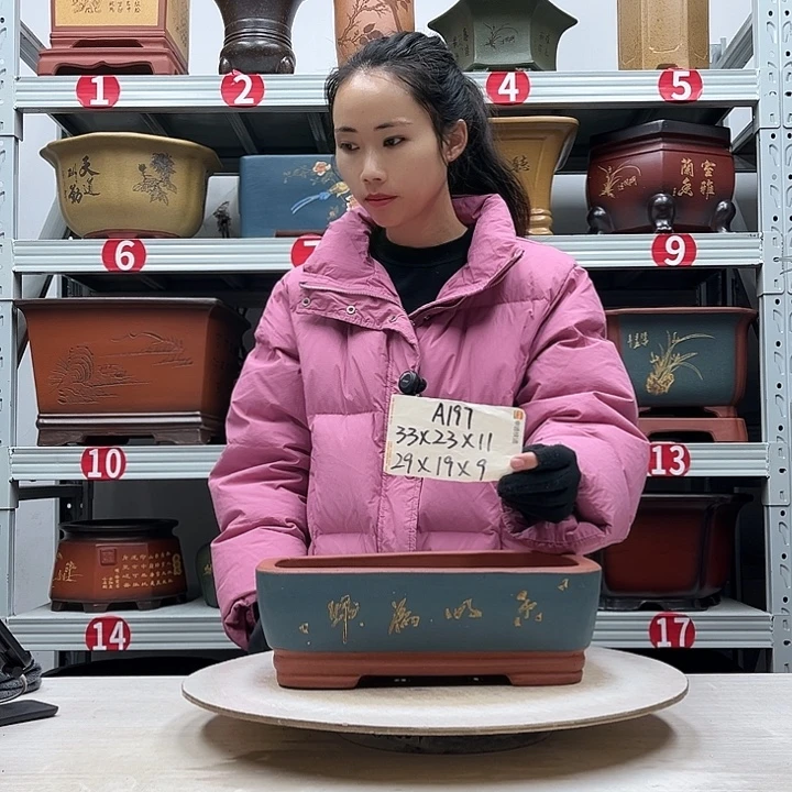 紫砂花盆紫砂花盆