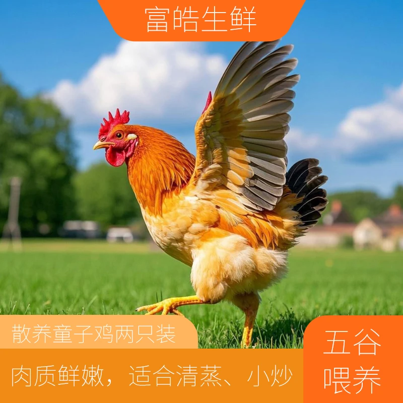 【两只少年公鸡】少年公鸡农村散养土鸡新鲜营养共5-6斤左右