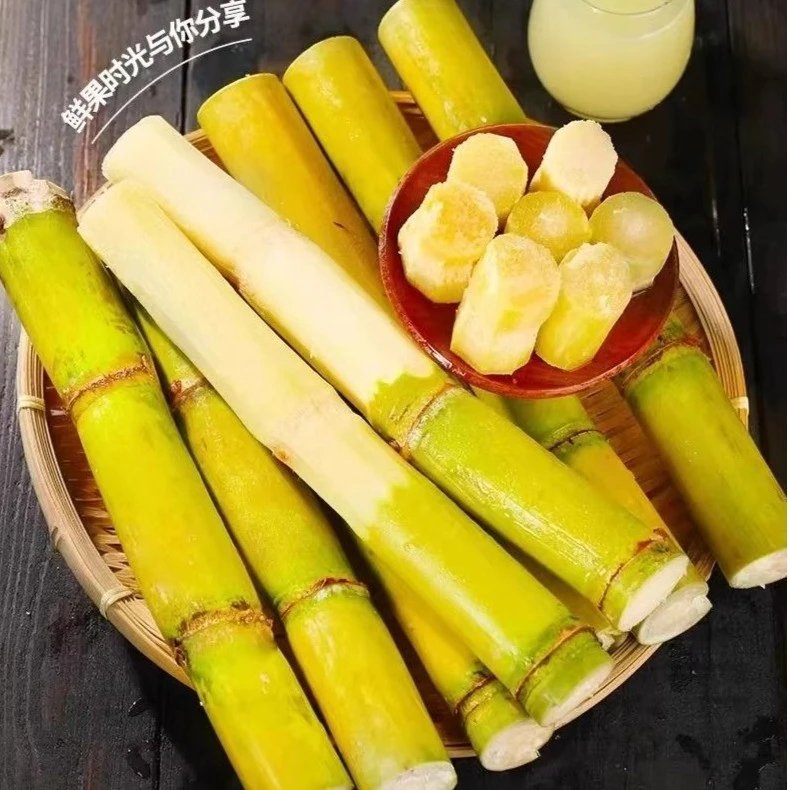 云南黄皮甘蔗青皮甘蔗新鲜黄金甘蔗中段应季水果脆甜多汁口感清甜