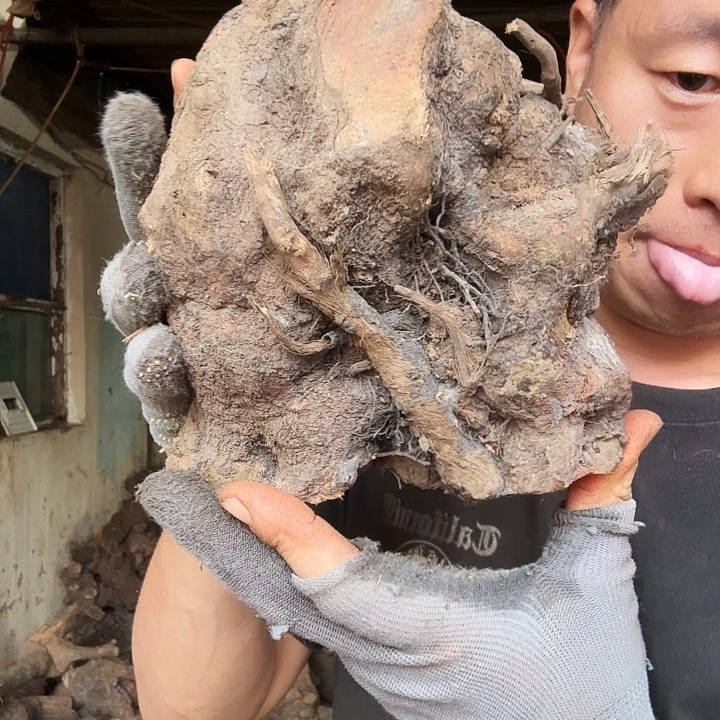 夏***天无花朵0000000457