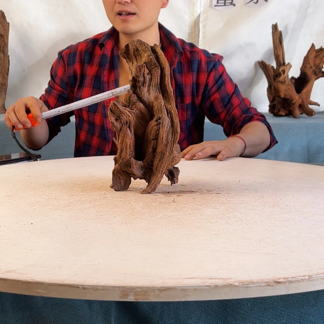 13.26.13 沉木造景爬宠造景