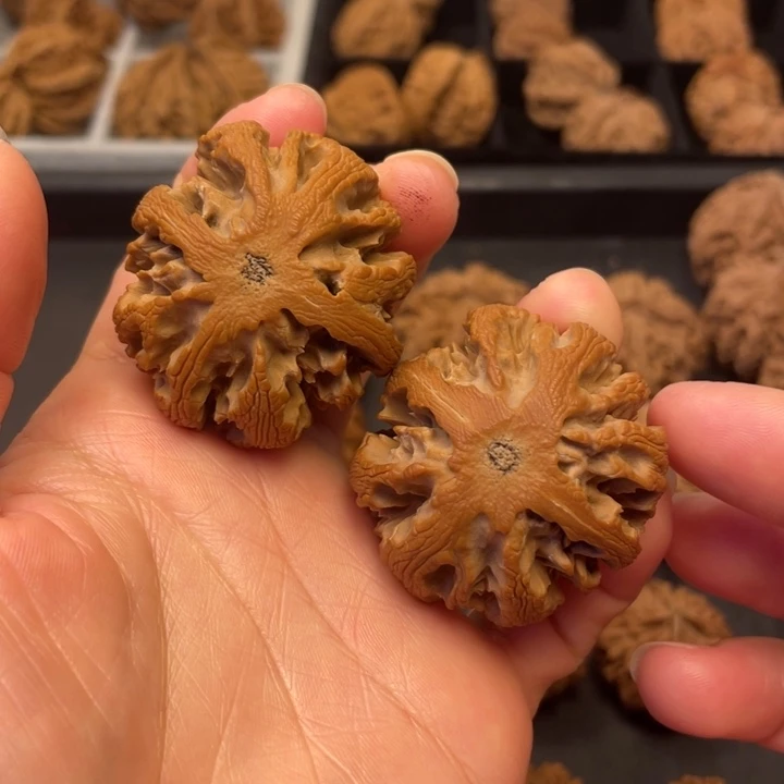 方***界吊坠文玩核桃秦岭以南是长江上游