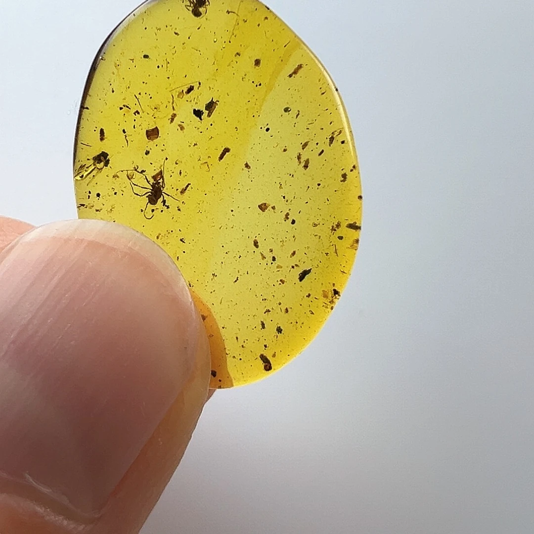 琥珀裸石未镶嵌已*置