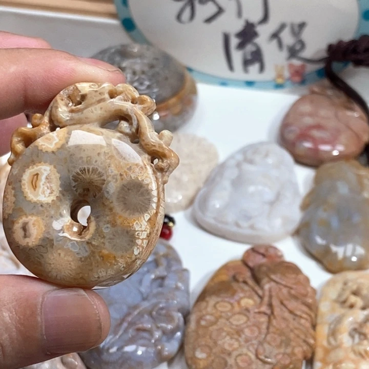 硅化珊瑚（珊瑚玉）未镶嵌颈饰