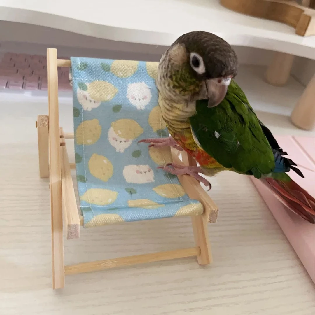 鹦鹉躺椅和尚小太阳解压玩具小鸟玄凤新型解闷自嗨专用逗鹦鹉神器