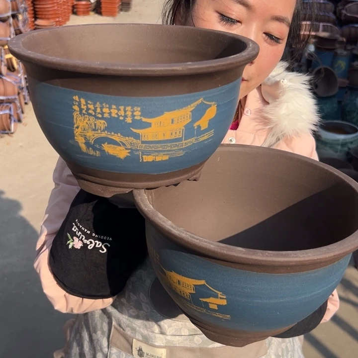 21+21蓝江南水乡三角金钟花盆