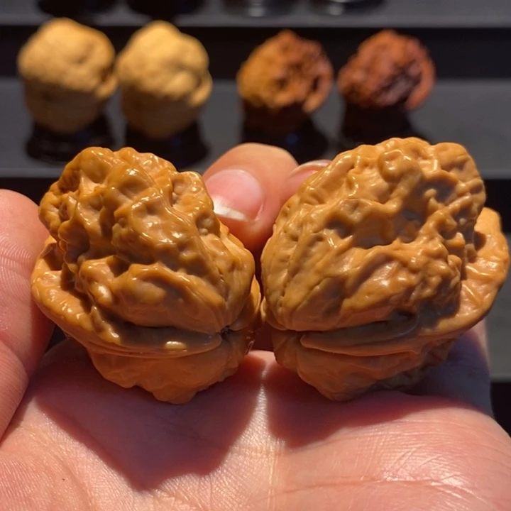文玩核桃把件38尺毒瘤虫王