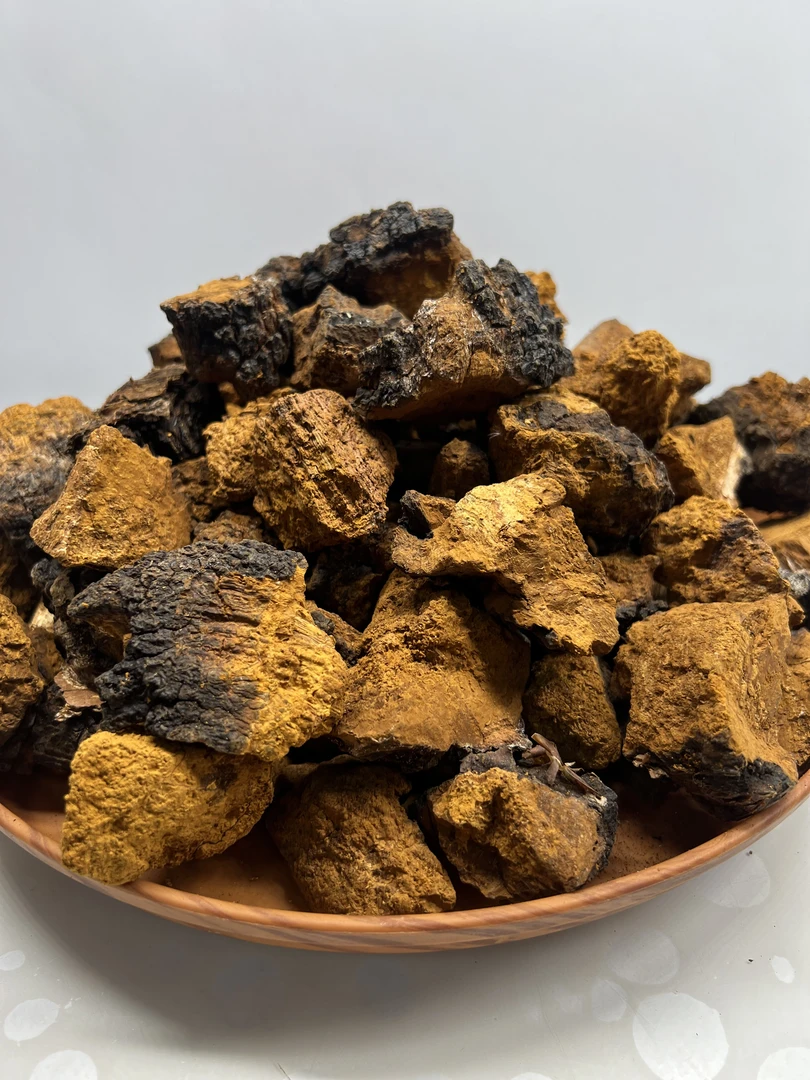 长白山桦树茸 桦褐孔菌 白桦茸