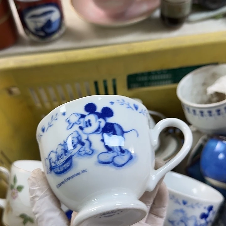 碗开播啦…开播啦